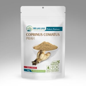 COPRINUS COMATUS U PRAHU 50G We are one
