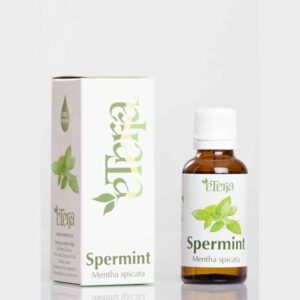 Spermint.jpg Spermint ulje 30ml Eterra