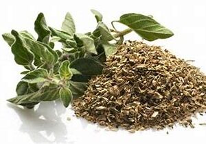 origano.jpg Origano