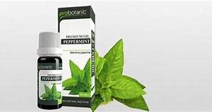 ulje-peperminta.jpg Ulje peperminta - mente 10ml Probotanic