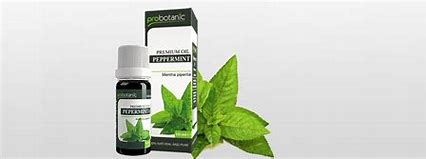 ulje-peperminta.jpg Ulje peperminta - mente 10ml Probotanic